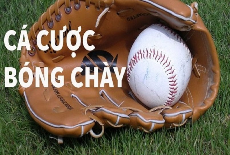 Khám phá thế giới của Trò Chơi Cá Mập Thật: Thử thách và phần thưởng hấp dẫn!